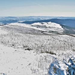 Národní park Šumava, únor 2019.