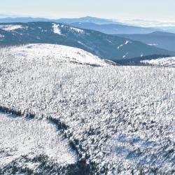 Národní park Šumava, únor 2019.