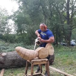 „Obři z trávy 2018'' - foto Zoo Hluboká