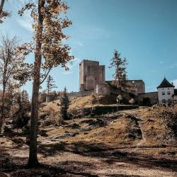 Hrad Landštejn.