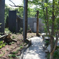 Zoologická zahrada Hluboká nad Vltavou otevírá novou expozici sov.