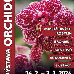 Jihočeské muzeum pořádá oblíbenou výstavu orchidejí.