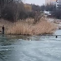 Zaměstnanec Nemocnice Tábor se svým synem zachránili život dvou dětí pod kterými se prolomil led.
