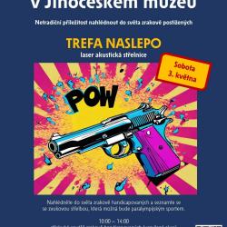 Jihočeské muzeum v Českých Budějovicích ve spolupráci s organizacemi zaměřenými na práci se zrakově handicapovanými připravilo na sobotu 3. 5. DEN S HANDICAPEM – sportovně – kulturně – společenský program, který nabídne netradiční možnost nahlédnout do světa zrakově postižených. 