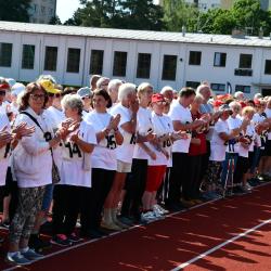 Radost z pohybu a zdravé soupeření ovládly 12. Sportovní hry seniorů.