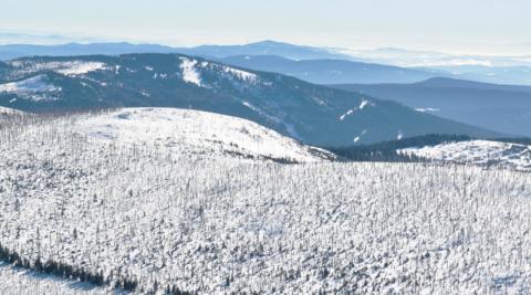 Národní park Šumava, únor 2019.