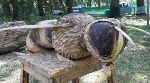 „Obři z trávy 2018'' - foto Zoo Hluboká