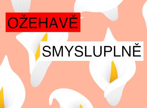 Ožehavě smysluplně. Osvětová akce pro studenty o tom, co je opravdu zajímá