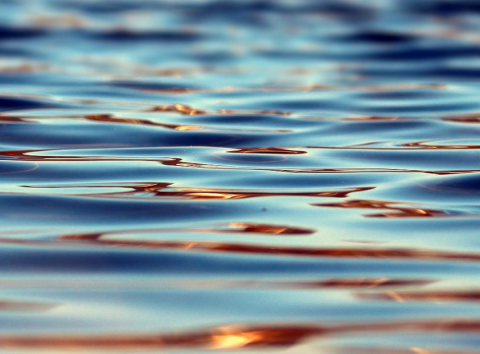 Ilustrační foto (zdroj obrázku www.pixabay.com)