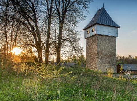 Jen pár minut od Dolního Dvořiště se za týden otevírá unikátní historická památka, tvrz Tichá. Její hradní věž je vysoká celkem 28 metrů a zároveň je nejjižnější hradní vyhlídkovou věží v České republice. 