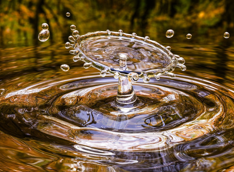 Ilustrační foto (zdroj obrázku www.pixabay.com)