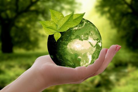 Ilustrační foto (zdroj obrázku www.pixabay.com)
