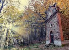 Podzimní Šumava (Foto: Kateřina Přibylová)
