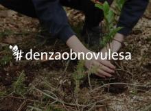 V sobotu proběhne další Den za obnovu lesa.