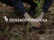 Den za obnovu lesa.