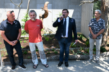 Zoologická zahrada Hluboká nad Vltavou otevírá novou expozici sov.