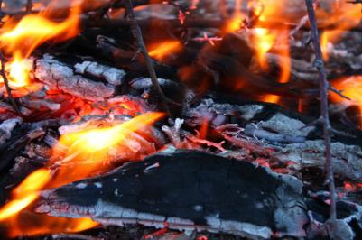 Ilustrační obrázek (Zdroj: www.pixabay.com)